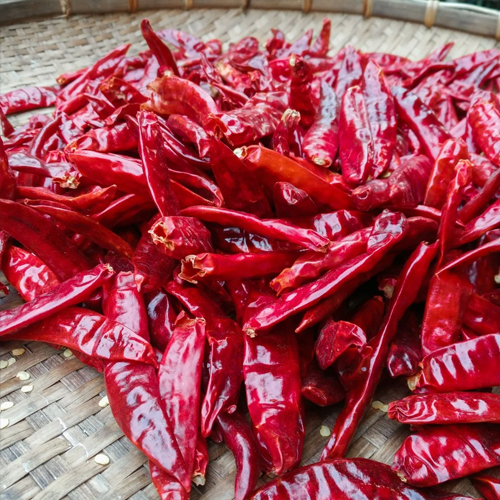 Red Dry Chilli